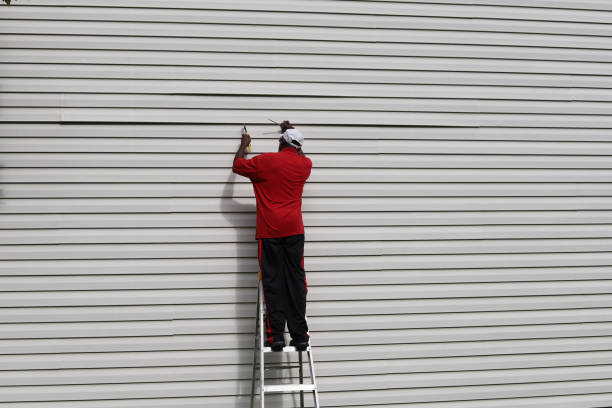 Best Custom Siding Design  in Orleans, VT
