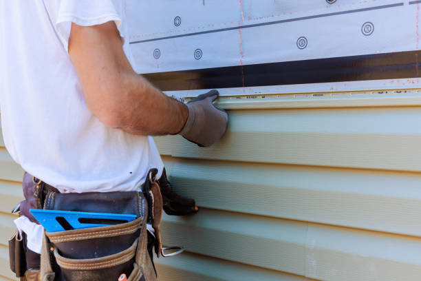 Best Insulated Siding Installation  in Orleans, VT